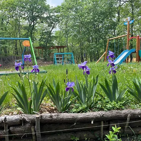 Bellevue 펜션