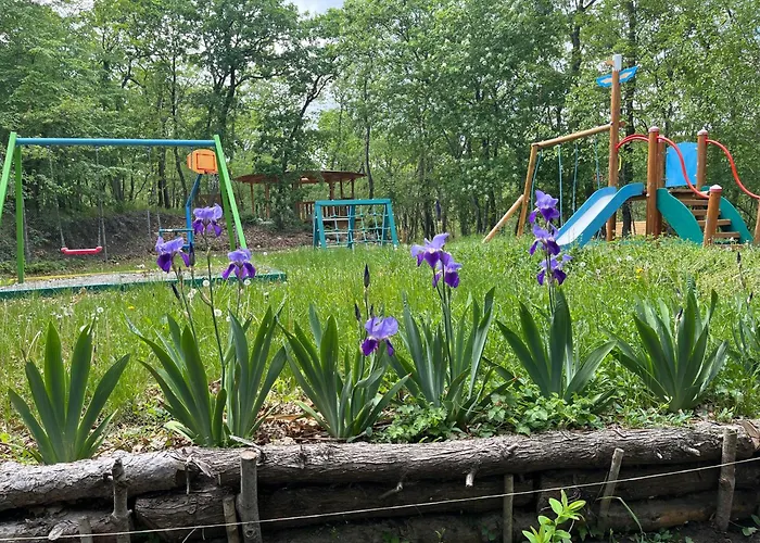 Bellevue * ゴールデンサンド